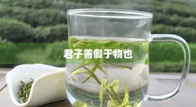 ​君子善假于物也(君子善假于物也是什么意思)