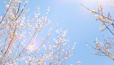 ​二月的别称