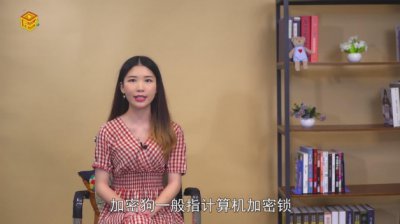 ​加密狗是什么
