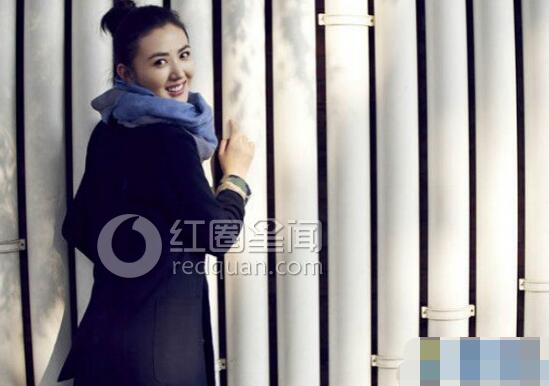 徐飒今年多少岁 徐飒的老公是刘志军吗