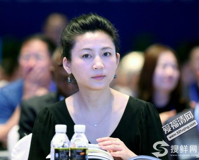 48岁王小丫出席活动惊艳亮相，优雅庄重显年轻！