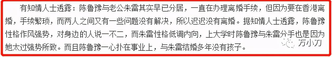 鲁豫现在的感情生活（鲁豫的坎坷情史和跌宕人生）(27)