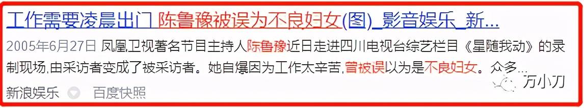 鲁豫现在的感情生活（鲁豫的坎坷情史和跌宕人生）(15)