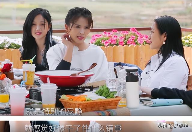 刘涛和王珂真实情况曝光（王珂实在不禁扒）(17)