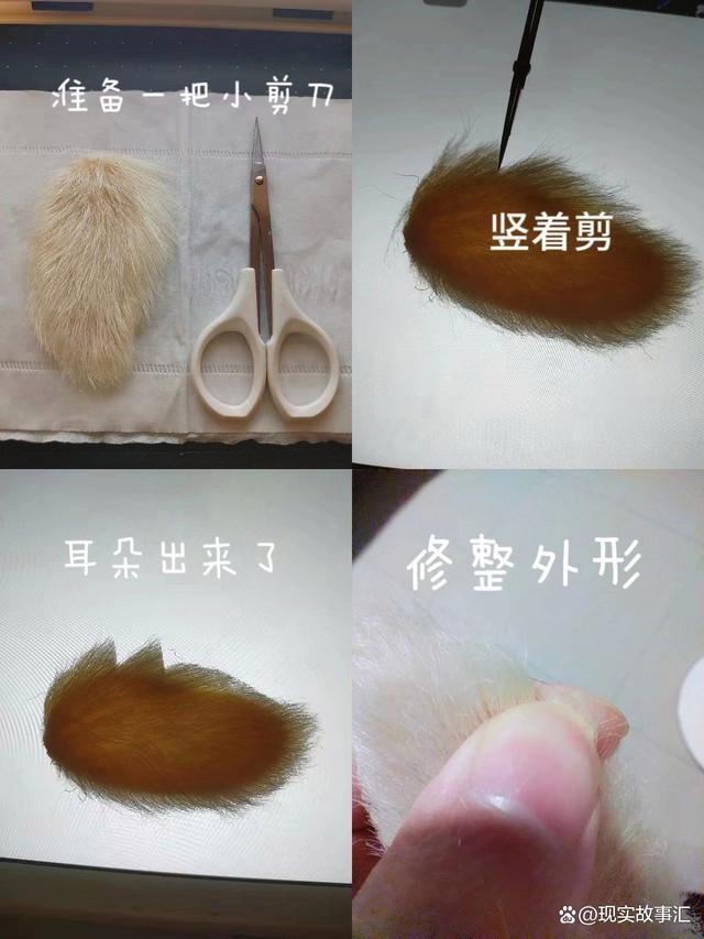 芒狗是什么梗 芒狗怎么做才能毛茸茸的