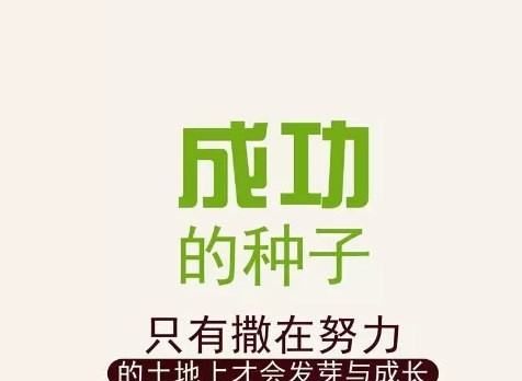 正能量短句每日一句,每天一条工作正能量短句图4