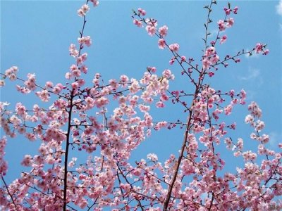 ​水均益的前妻的现状（背负逃兵骂名14年的水均益）