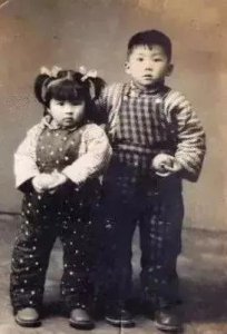 ​倪萍简历及个人资料简介(倪萍的故事：3婚两娃)