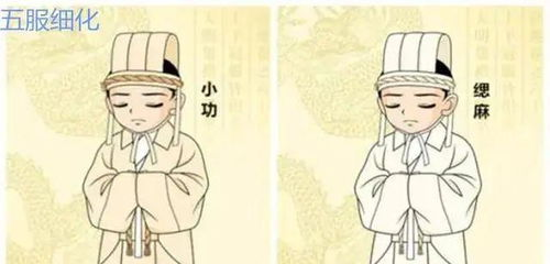 除服和成服是什么意思,黄历里面的除服是什么意思图5