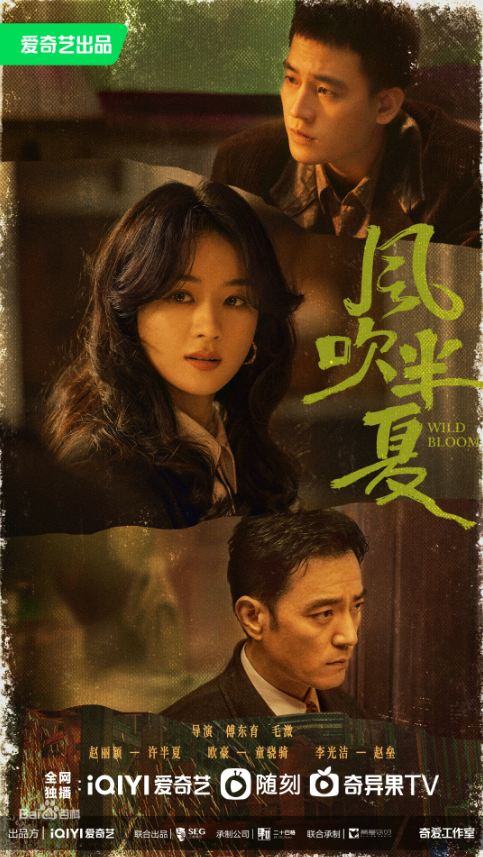 爱奇艺热度破万剧评分TOP9 你看过哪些呢？