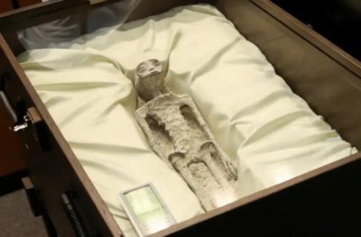 ​墨西哥展出“外星人尸体” 网友：外星人长得这么意料之中简直太意料之外了