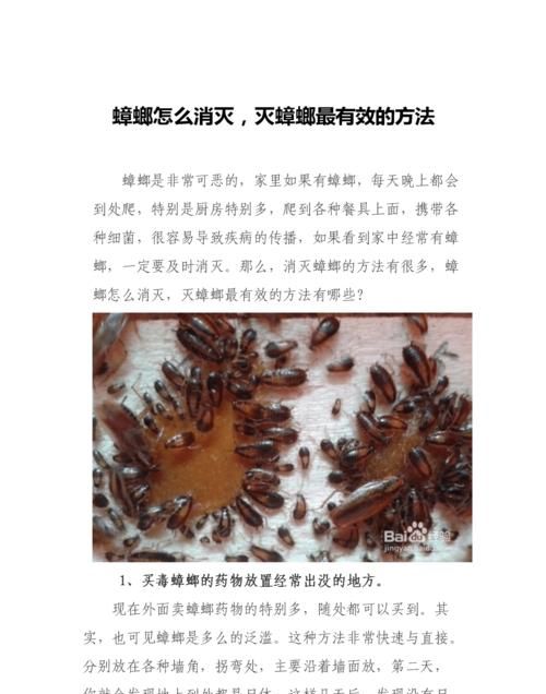 怎么消除蟑螂,怎么消除蟑螂