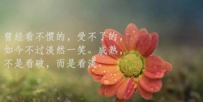 ​走心的句子简短一句话，最走心的党建短句？