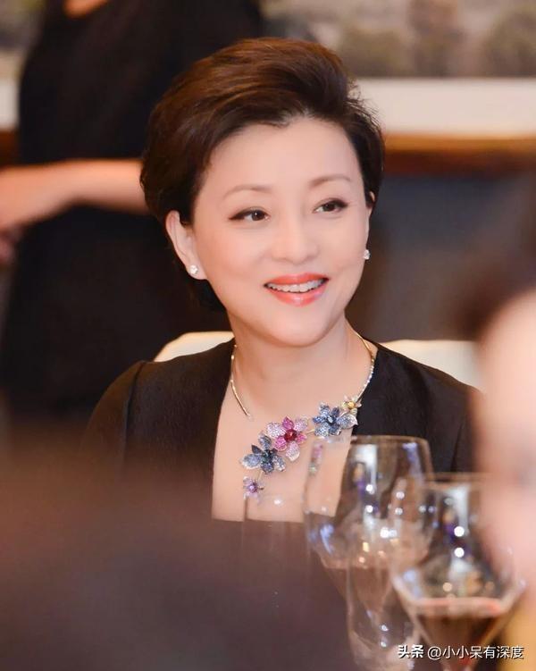 杨澜简介个人资料（杨澜：我不算漂亮，但也不丑，我觉得自己挺有气质的，杨澜近照）