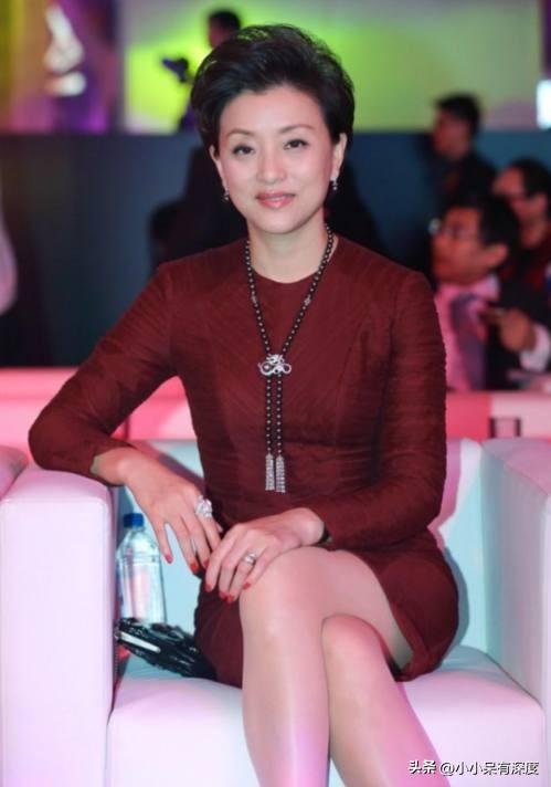 杨澜简介个人资料（杨澜：我不算漂亮，但也不丑，我觉得自己挺有气质的，杨澜近照）