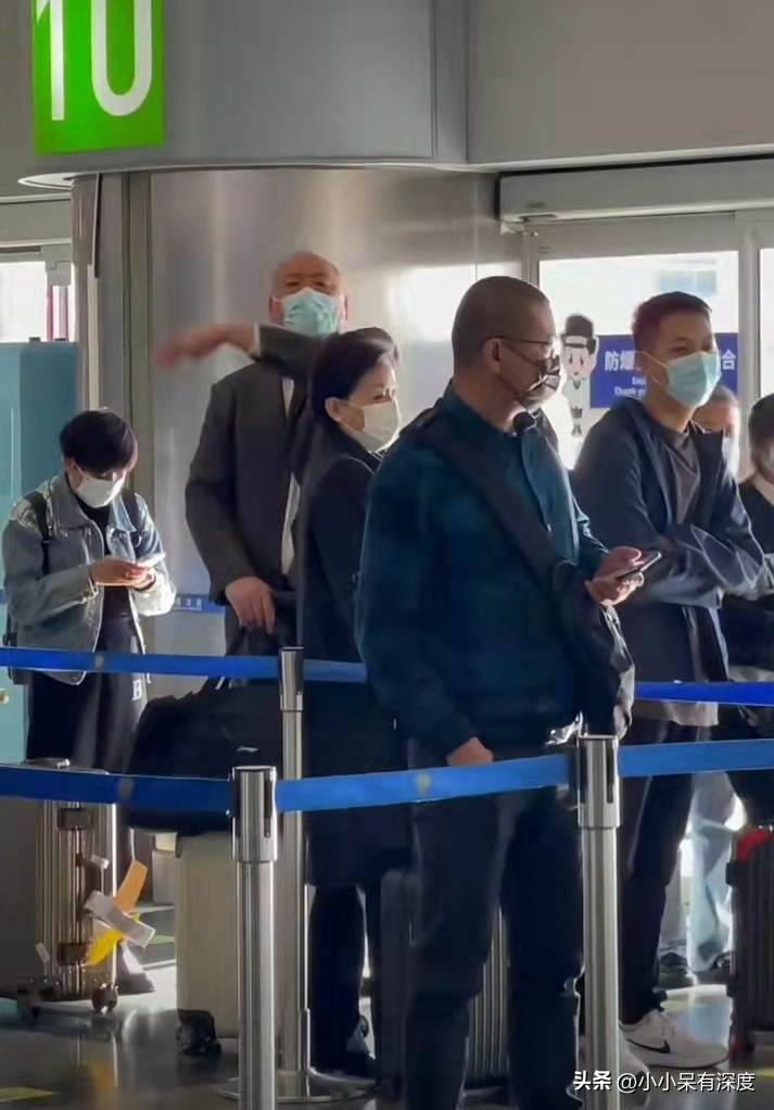 杨澜简介个人资料（杨澜：我不算漂亮，但也不丑，我觉得自己挺有气质的，杨澜近照）