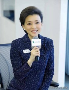 ​杨澜简介个人资料（杨澜：我不算漂亮，但也不丑，我觉得自己挺有气质的，杨澜