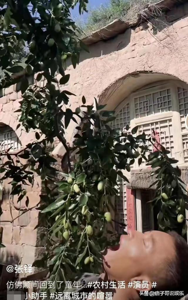 小张译个人资料简介（他是张嘉译的老乡“小张译”，如今褪去明星光环回到陕西老家生活）