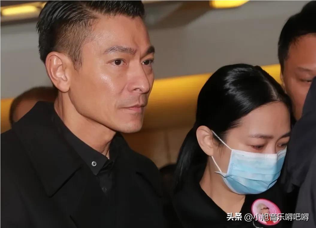 从出道至今依然无法超越的刘德华，为什么能火40年？