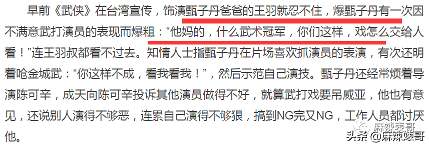 赵文卓和甄子丹事件是怎么回事？