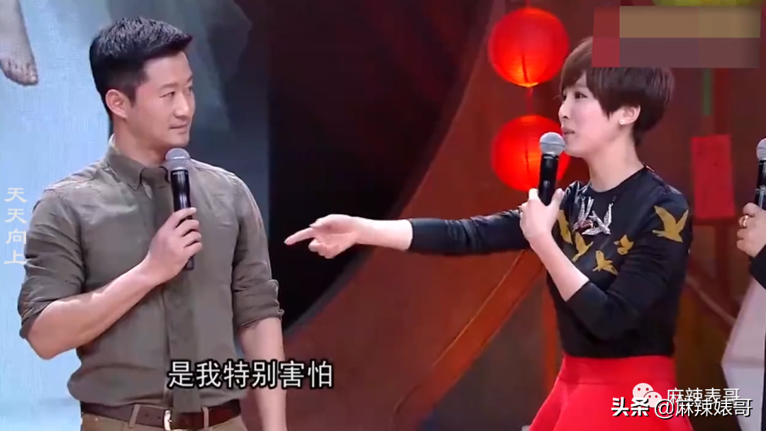 赵文卓和甄子丹事件是怎么回事？
