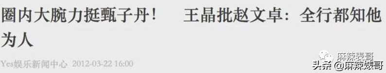 赵文卓和甄子丹事件是怎么回事？