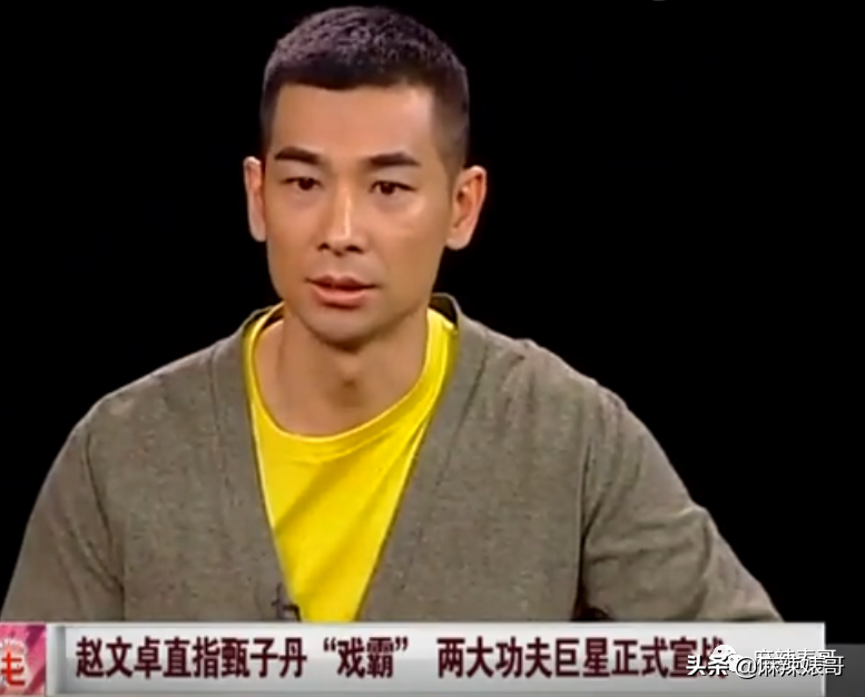 赵文卓和甄子丹事件是怎么回事？