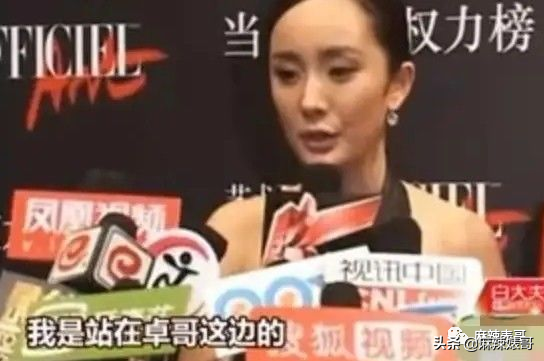 赵文卓和甄子丹事件是怎么回事？