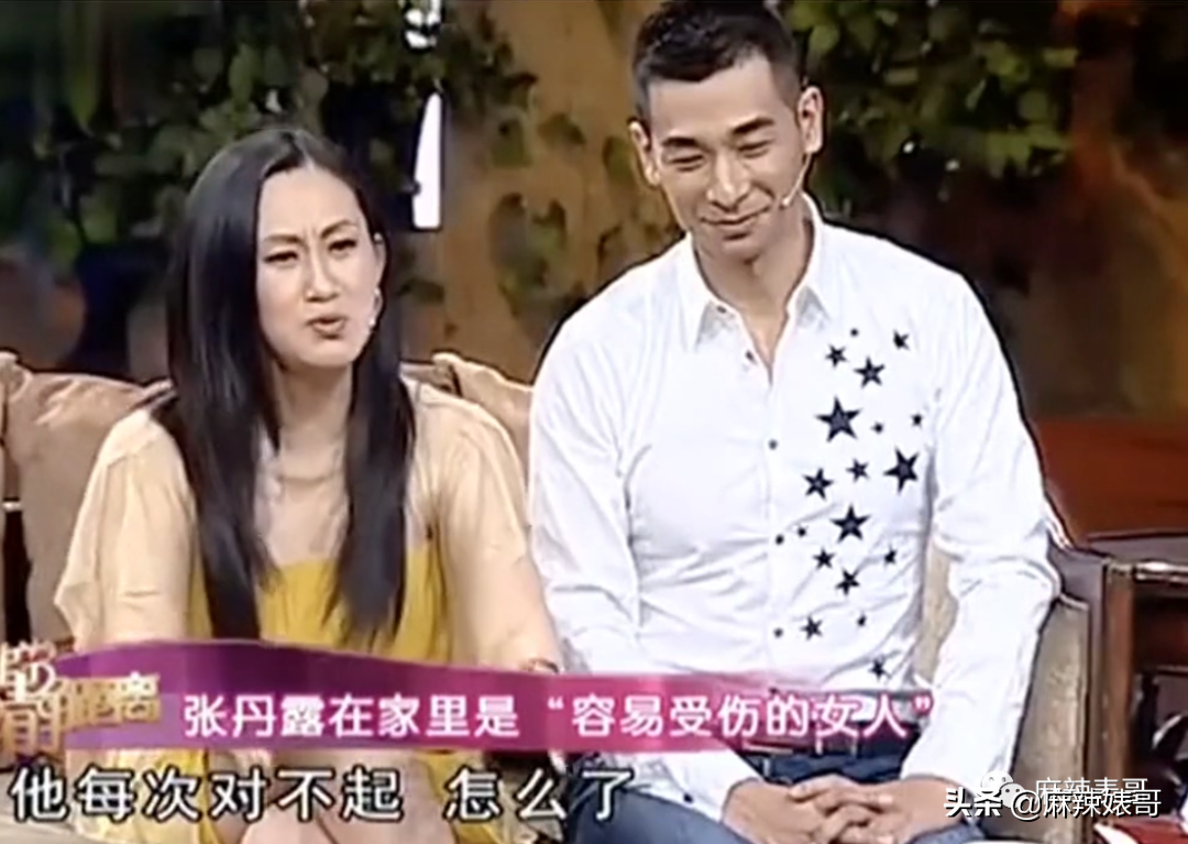 赵文卓和甄子丹事件是怎么回事？