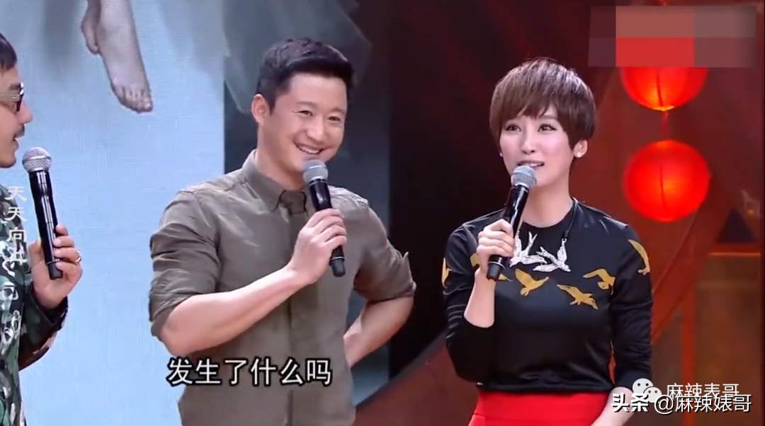 赵文卓和甄子丹事件是怎么回事？
