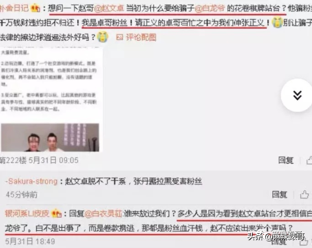 赵文卓和甄子丹事件是怎么回事？