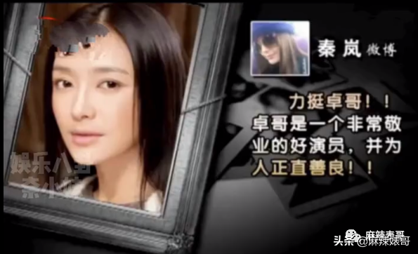 赵文卓和甄子丹事件是怎么回事？