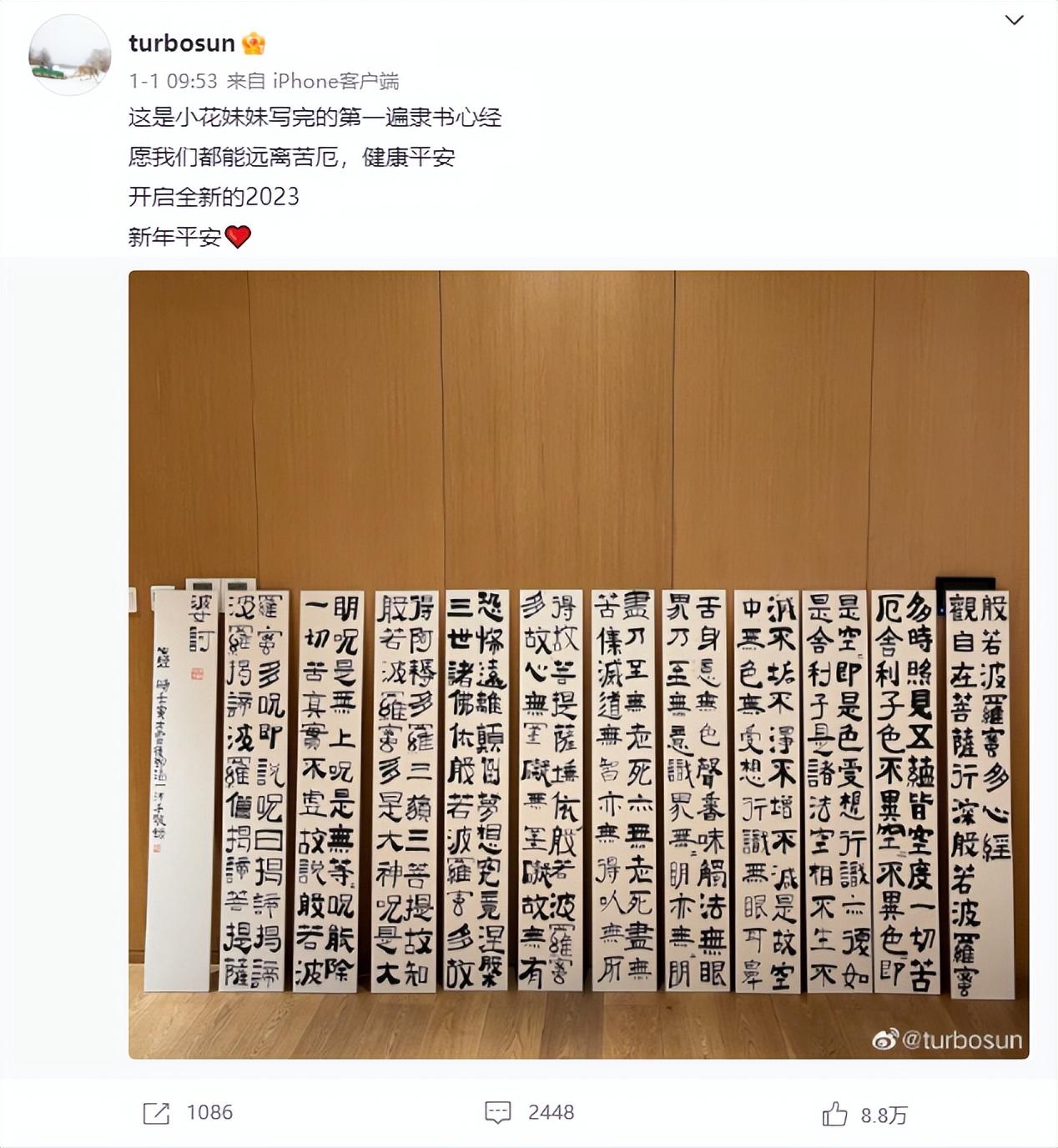 明星孙俪晒隶书千字文，一手好书法惹网友赞：被演员耽误的书法家