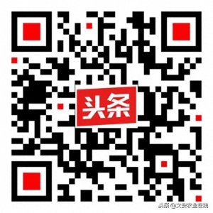 ​网红无花果十大优良品种推介！