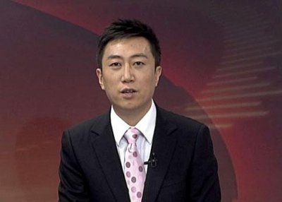 ​为你简单介绍央视主持人陈伟鸿的人物评价