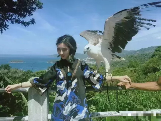 沉珂为什么假死（网红鼻主沉珂21岁自杀27岁重生）