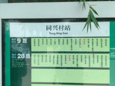 ​广州坠桥公交平时乘客多为学生