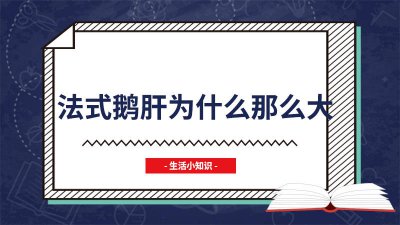 ​法国鹅肝什么味道好吃 法国鹅肝什么味道正宗