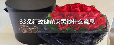 ​33朵红玫瑰的花语是什么意思 33朵红玫瑰黑纱花语是什么
