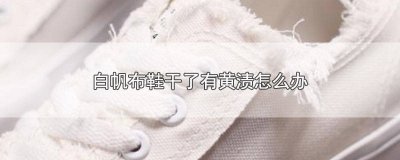 ​白布鞋干了发黄怎么处理 白色帆布鞋干了发黄怎么补救