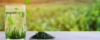​白茶属于什么茶可以放多久 白茶是什么呀
