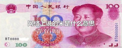 ​说有米是什么意思 现在说米是什么意思