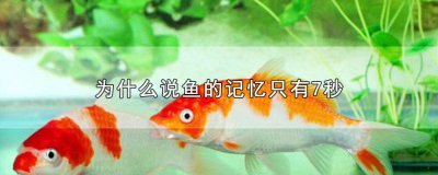 ​为什么有人说鱼的记忆只有七秒呢 为什么有人说鱼的记忆只有七秒钟呢