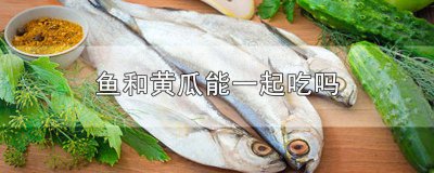 ​黄瓜和鱼可以一起吃吗早餐 黄瓜和鱼可以一起吃吗会中毒吗
