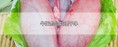 ​牛蛋蛋怎么处理干净 新鲜牛蛋怎么清洗处理