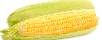 ​黄豆可以和玉米可以一起吃吗 黄豆能不能和玉米一起吃