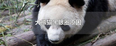 ​大熊猫为什么有黑眼圈?解答30字 大熊猫为什么有黑眼圈?解答50字