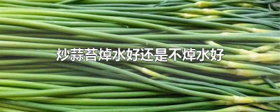 ​炒蒜苔蒜苔需要焯水吗 炒蒜苔要用水焯一下吗