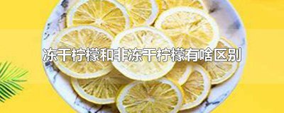 ​什么是冻干柠檬 冻干柠檬和新鲜柠檬