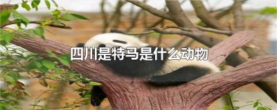 ​四川是特吗打一生肖 四川是特是什么生肖